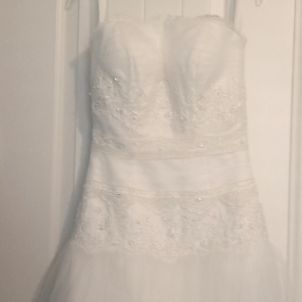 Prom/Wedding Beaded Tulle Skirted Dress